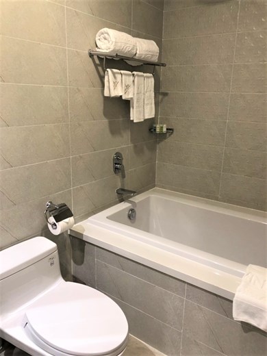 Apartment for rent BT105L3339 (6)